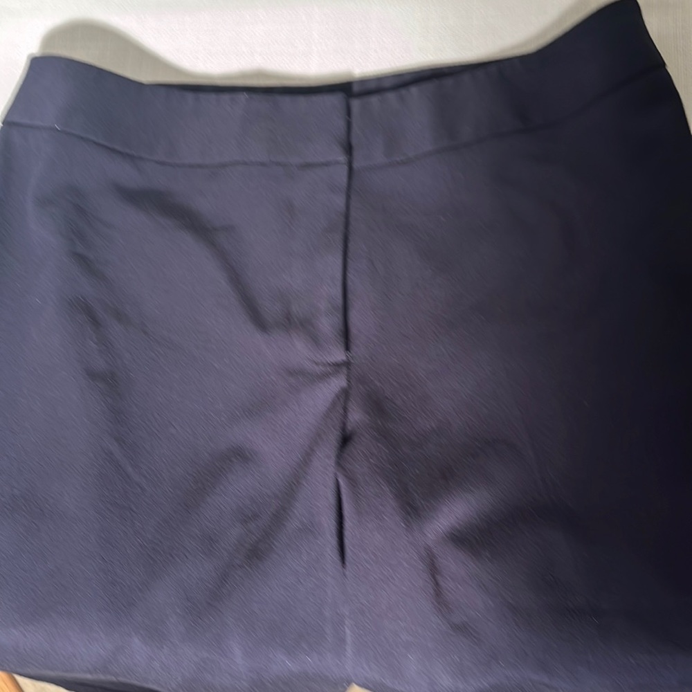 Investment Petites navy Blue slacks 16p